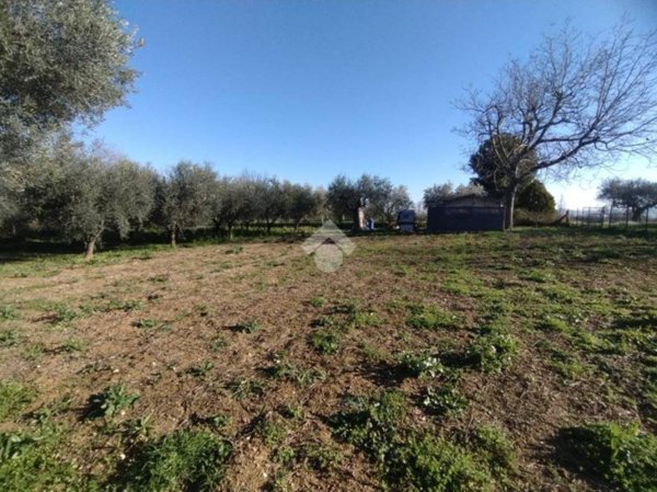 terreno edificabile in vendita a Cepagatti