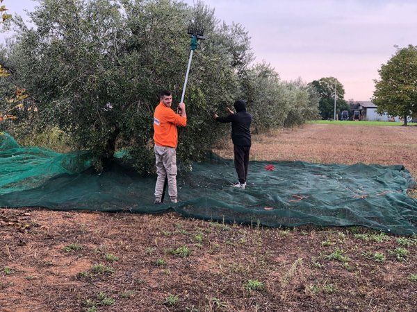 terreno edificabile in vendita a Cepagatti