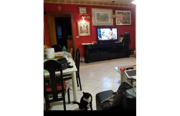 appartamento in vendita a Cepagatti in zona Villanova