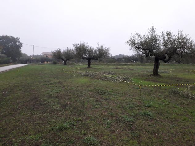 terreno edificabile in vendita a Cepagatti