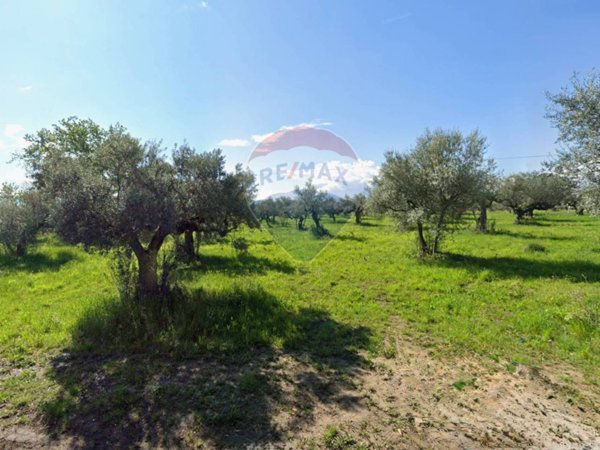 terreno edificabile in vendita a Cepagatti