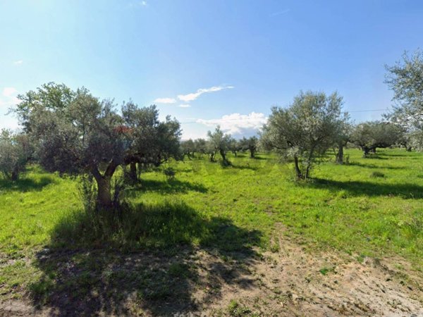 terreno edificabile in vendita a Cepagatti in zona Rapattoni Vecchio