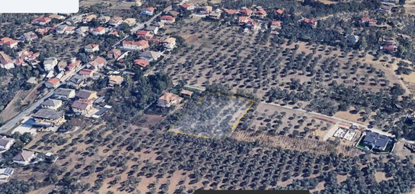 terreno edificabile in vendita a Cepagatti