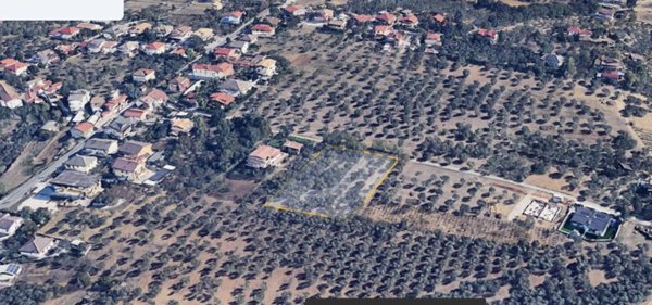 terreno edificabile in vendita a Cepagatti