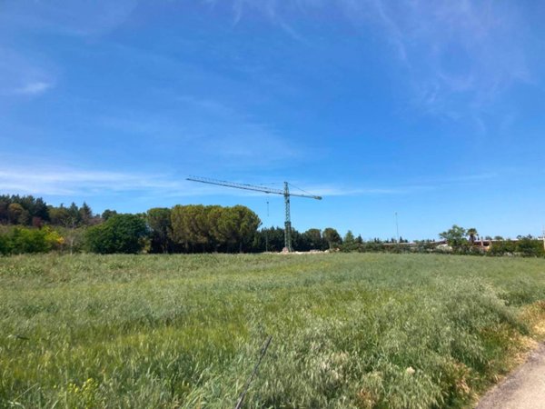 terreno agricolo in vendita a Cepagatti in zona Villanova