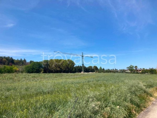 terreno agricolo in vendita a Cepagatti in zona Villanova