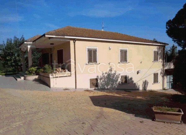 casa indipendente in vendita a Cepagatti in zona Palozzo