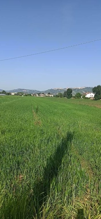 terreno edificabile in vendita a Cepagatti in zona Villareia