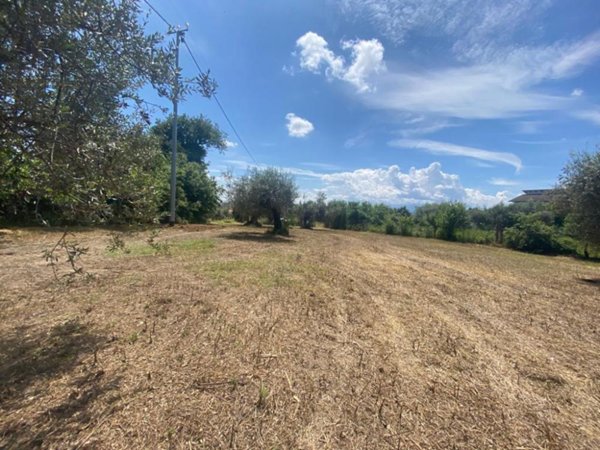 terreno edificabile in vendita a Cepagatti