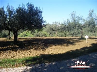 terreno in vendita a Cepagatti