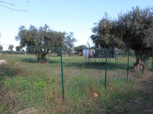 terreno edificabile in vendita a Cepagatti in zona Vallemare