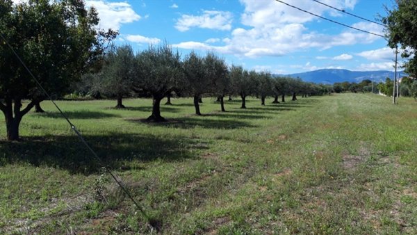 terreno edificabile in vendita a Cepagatti