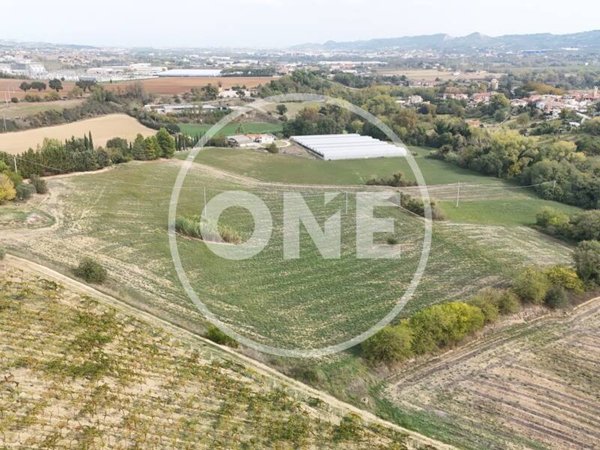 terreno agricolo in vendita a Cepagatti in zona Rapattoni Vecchio