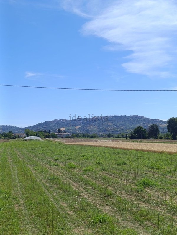 terreno edificabile in vendita a Cepagatti in zona Villareia
