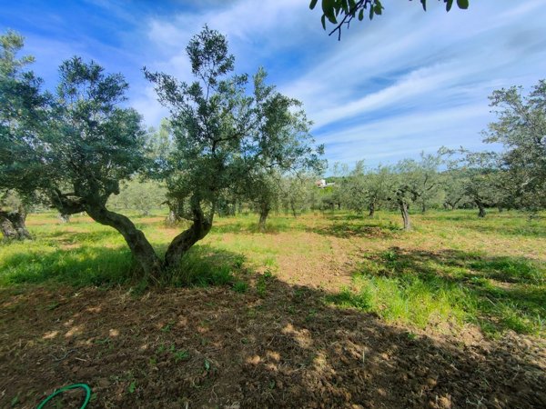 casa indipendente in vendita a Cepagatti