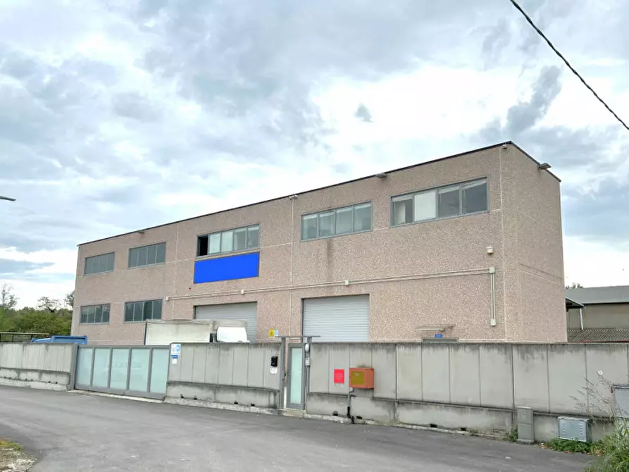 negozio in vendita a Cepagatti