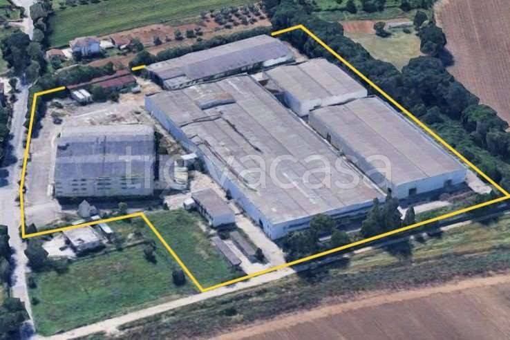 ufficio in vendita a Cepagatti