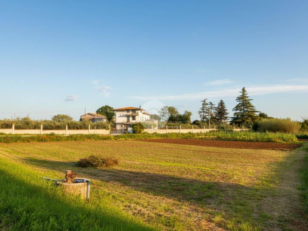terreno edificabile in vendita a Cepagatti