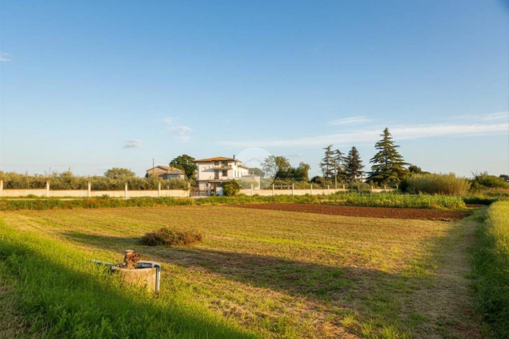 terreno in vendita a Cepagatti