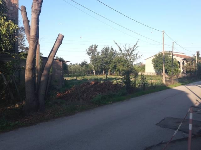 terreno edificabile in vendita a Cepagatti in zona Buccieri