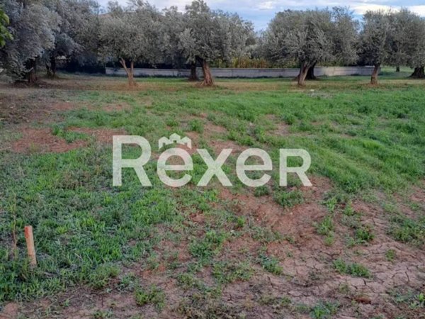 terreno in vendita a Cepagatti in zona Rapattoni Vecchio