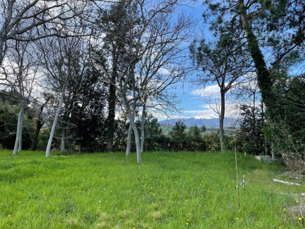 terreno edificabile in vendita a Cepagatti in zona Villareia