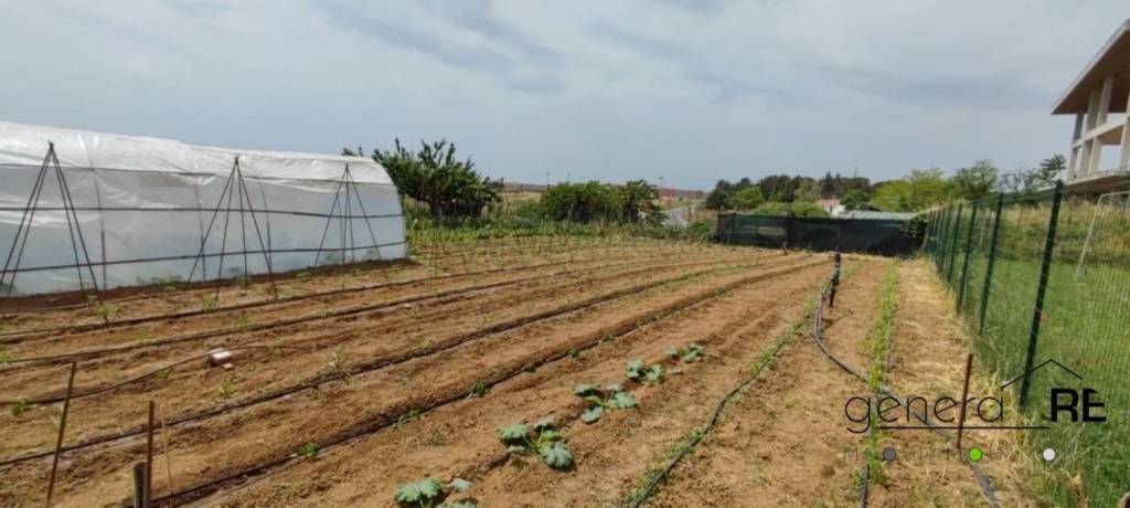 terreno agricolo in vendita a Città Sant'Angelo in zona San Martino