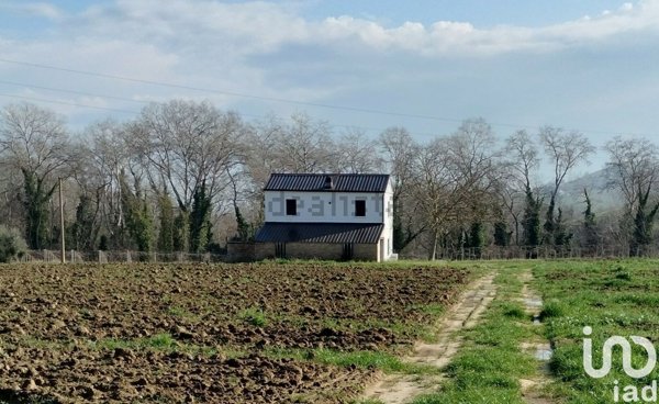 esavano in vendita a Città Sant'Angelo