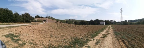 esavano in vendita a Città Sant'Angelo