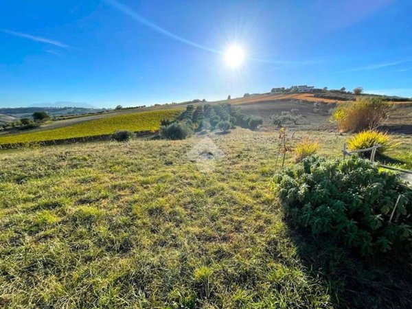 terreno agricolo in vendita a Città Sant'Angelo