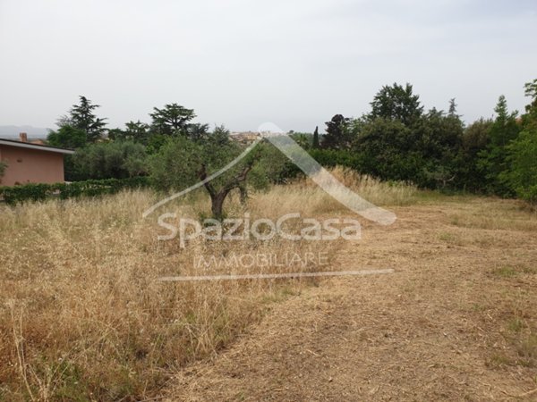 terreno edificabile in vendita a Città Sant'Angelo in zona Madonna della Pace