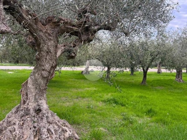 casa indipendente in vendita a Città Sant'Angelo