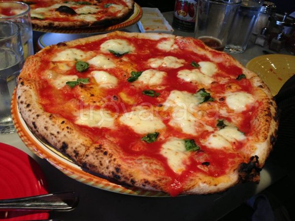 immagine annuncio 0 di 1