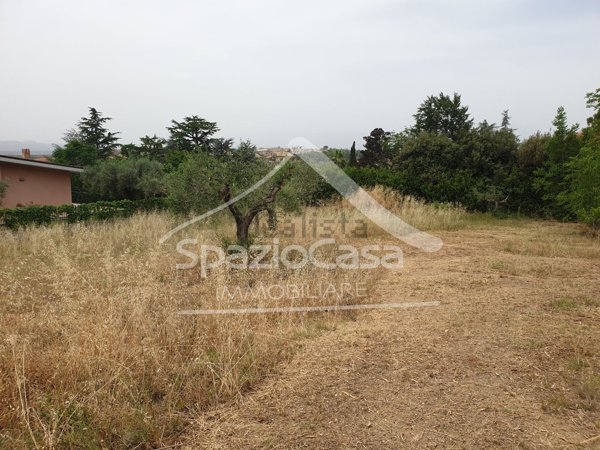 terreno edificabile in vendita a Città Sant'Angelo in zona Madonna della Pace