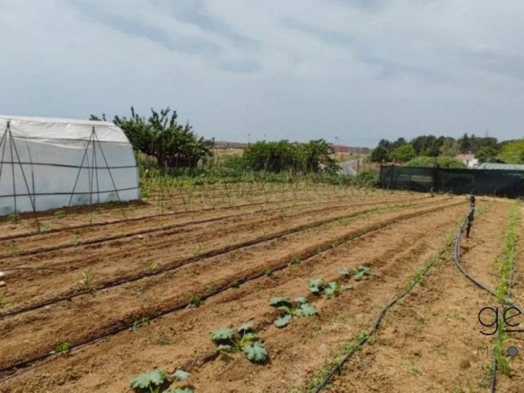 terreno agricolo in vendita a Città Sant'Angelo in zona San Martino