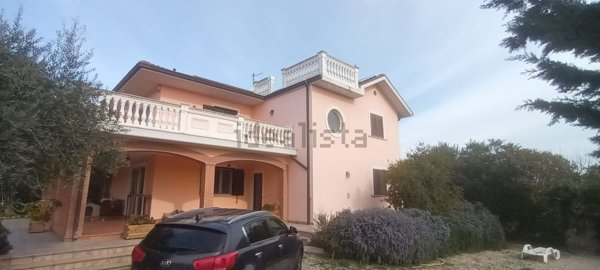 immagine annuncio 0 di 15