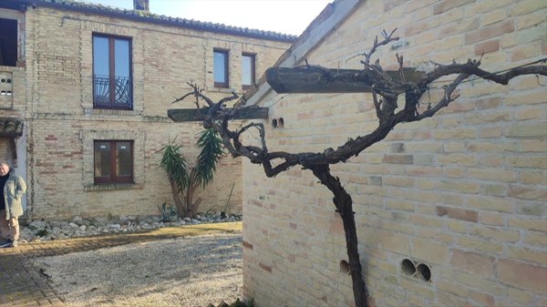 casa indipendente in vendita a Città Sant'Angelo