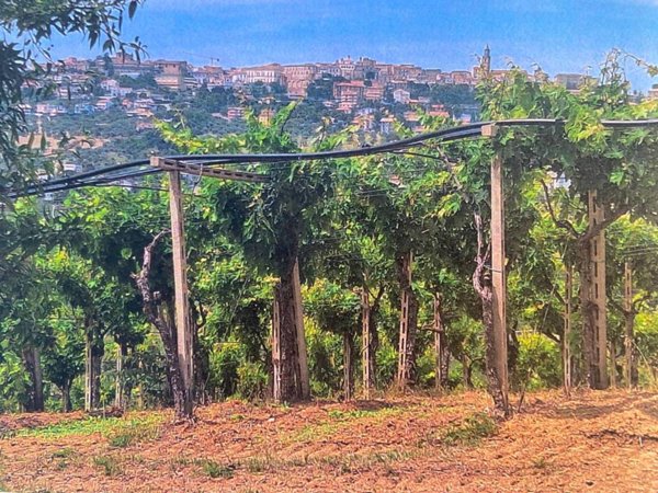terreno agricolo in vendita a Città Sant'Angelo