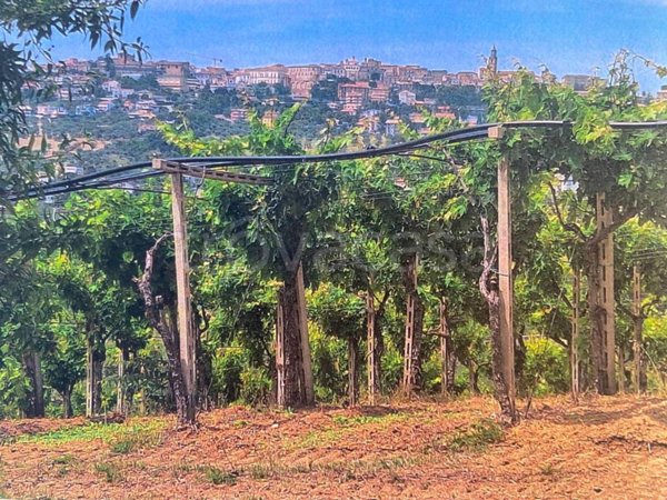 casa indipendente in vendita a Città Sant'Angelo