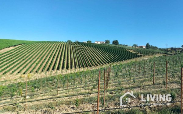 ufficio in vendita a Città Sant'Angelo in zona Gaglierani