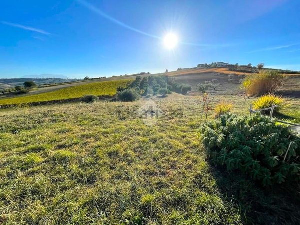 terreno agricolo in vendita a Città Sant'Angelo