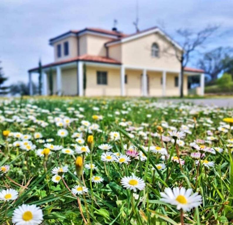 casa indipendente in vendita a Città Sant'Angelo