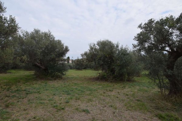 rudere in vendita a Città Sant'Angelo