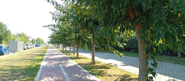 appartamento in vendita a Città Sant'Angelo