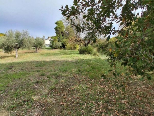 terreno agricolo in vendita a Città Sant'Angelo in zona Annunziata