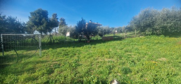 terreno edificabile in vendita a Città Sant'Angelo in zona Madonna della Pace
