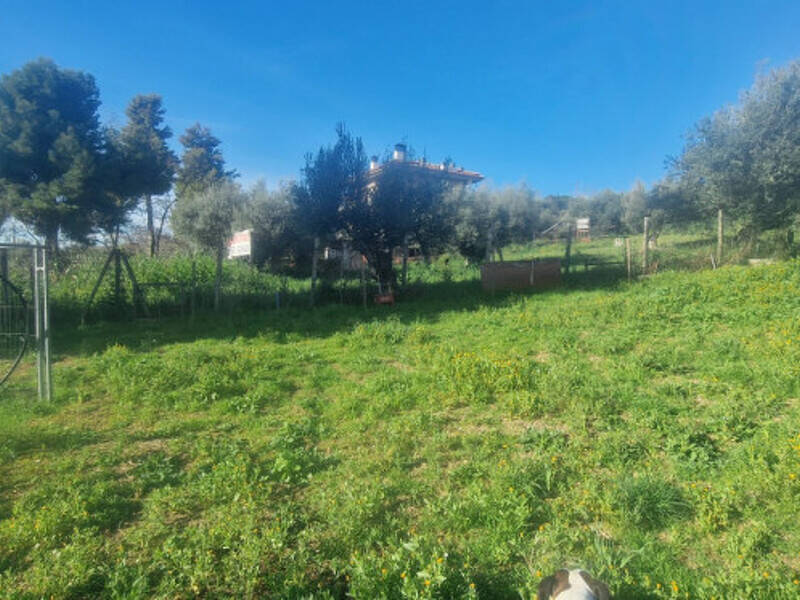 terreno agricolo in vendita a Città Sant'Angelo