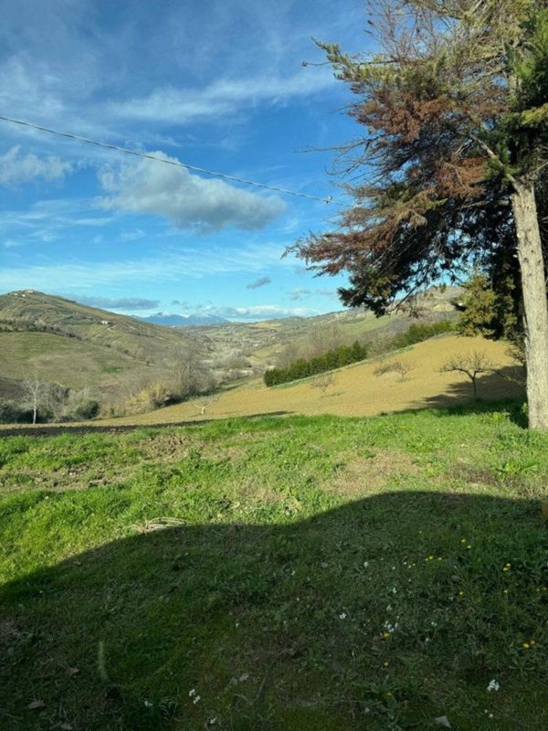 terreno agricolo in vendita a Città Sant'Angelo