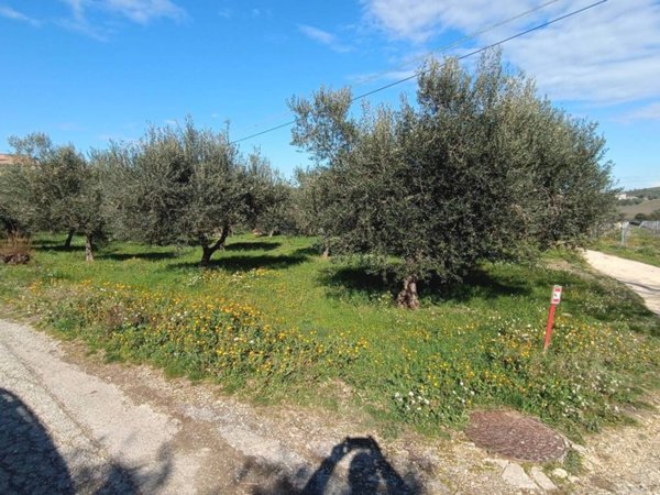 terreno agricolo in vendita a Città Sant'Angelo