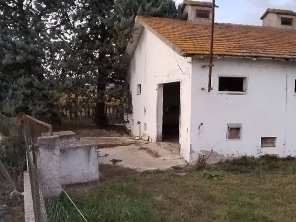 capannone in vendita a Città Sant'Angelo